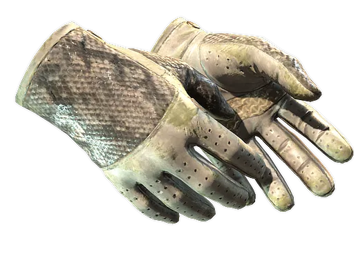 ★ Driver Gloves | King Snake (Well-Worn)