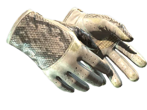 ★ Driver Gloves | King Snake (Field-Tested)
