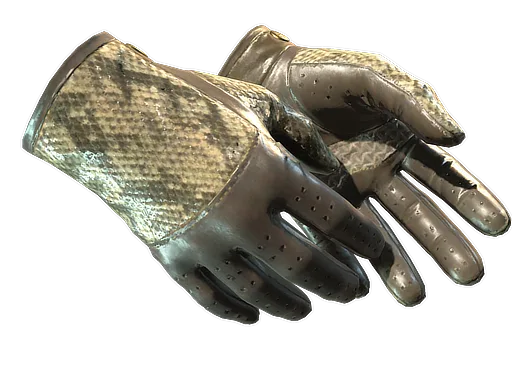 ★ Driver Gloves | Diamondback (Field-Tested)