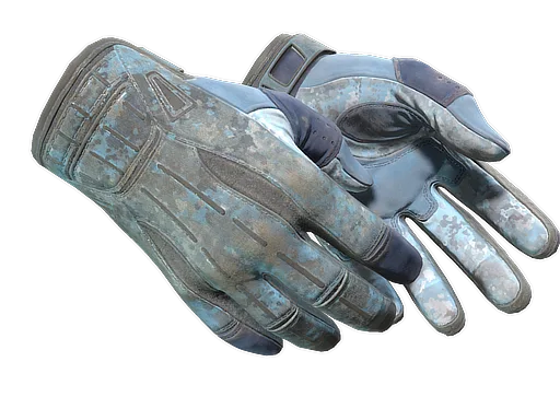 ★ Sport Gloves | Frosty (Well-Worn)