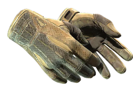 ★ Sport Gloves | Arid (Well-Worn)