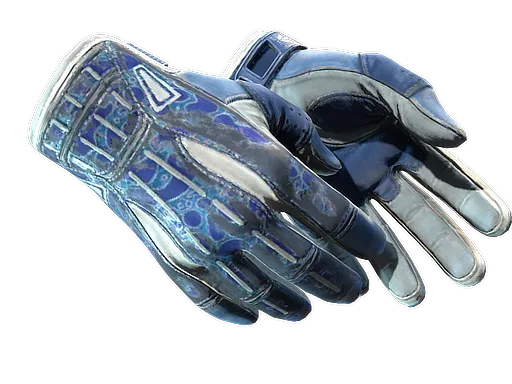 ★ Sport Gloves | Amphibious (Well-Worn)