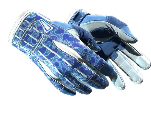 ★ Sport Gloves | Amphibious