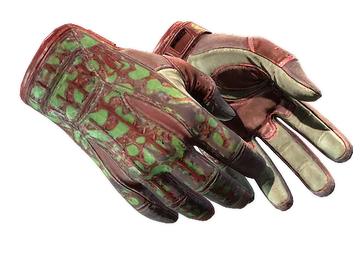 ★ Sport Gloves | Bronze Morph (Well-Worn)