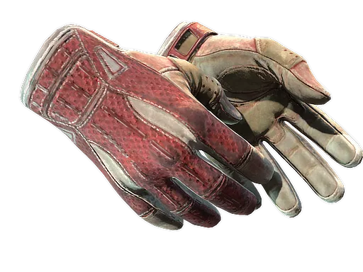 ★ Sport Gloves | Slingshot (Well-Worn)
