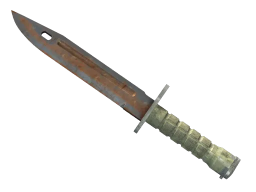 ★ Bayonet | Rust Coat (Well-Worn)