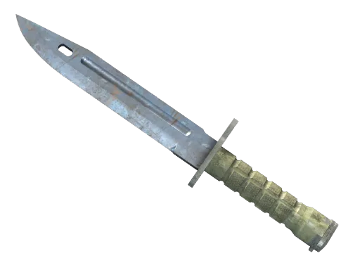 ★ Bayonet | Rust Coat