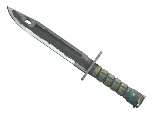 ★ Bayonet | Night (Well-Worn)