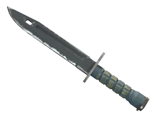 ★ Bayonet | Night (Field-Tested)
