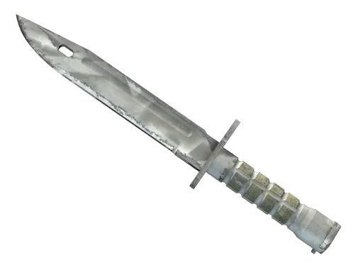 ★ Bayonet | Urban Masked (Field-Tested)