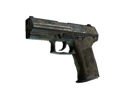 P2000 | Mudder (Well-Worn)