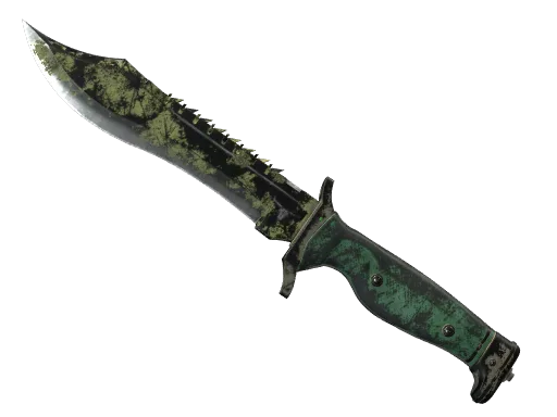 ★ Bowie Knife | Boreal Forest (Well-Worn)