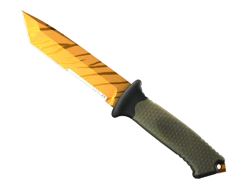 ★ Ursus Knife | Tiger Tooth