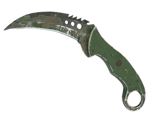 ★ Talon Knife | Forest DDPAT (Well-Worn)