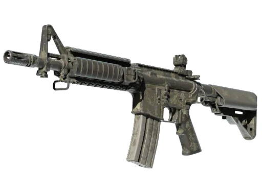StatTrak™ M4A4 | Faded Zebra (Well-Worn)