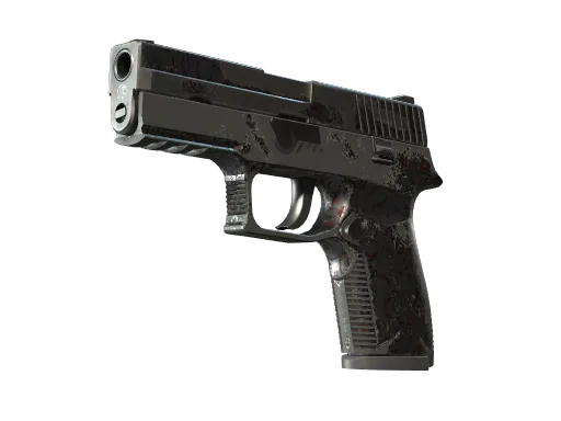 P250 | Dark Filigree (Well-Worn)