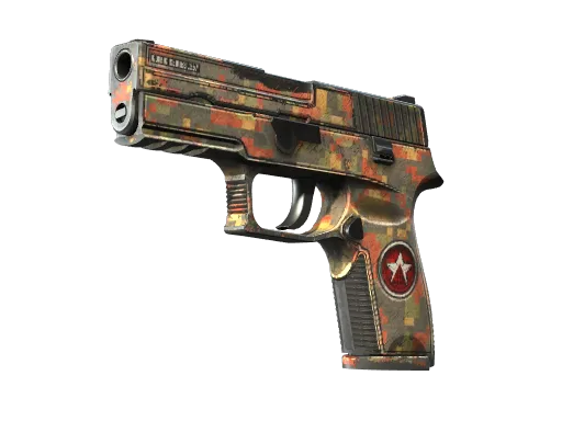 P250 | Red Rock (Well-Worn)