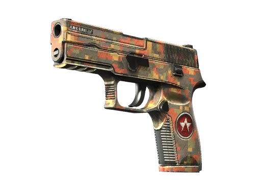 P250 | Red Rock (Field-Tested)