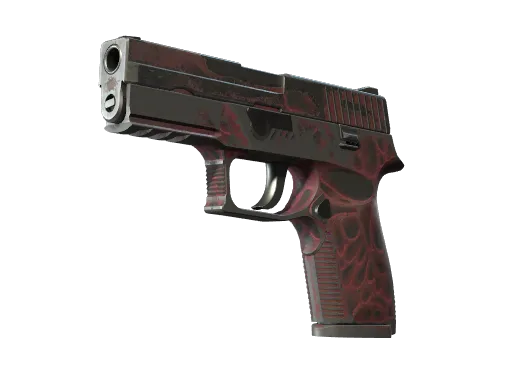 P250 | Contaminant (Well-Worn)