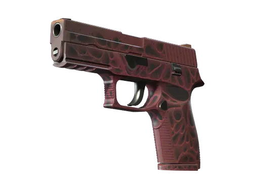 P250 | Contaminant