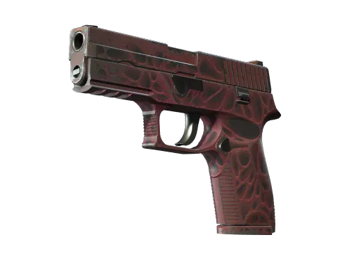 P250 | Contaminant (Field-Tested)