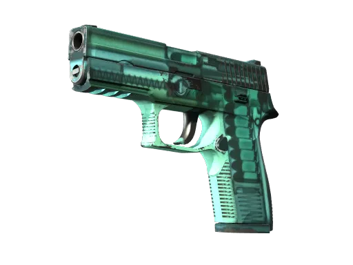P250 | X-Ray (Field-Tested)