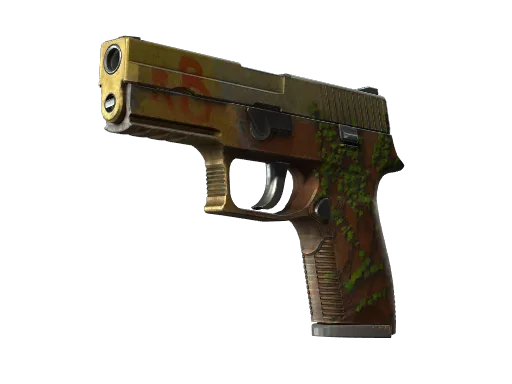 P250 | Inferno (Well-Worn)