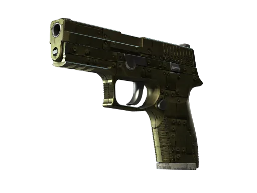 P250 | Iron Clad (Well-Worn)