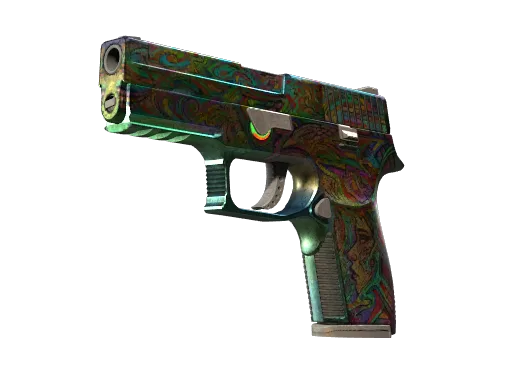 P250 | Visions (Well-Worn)