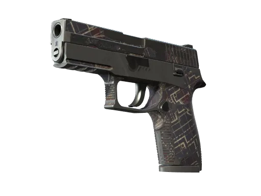 P250 | Facility Draft (Well-Worn)