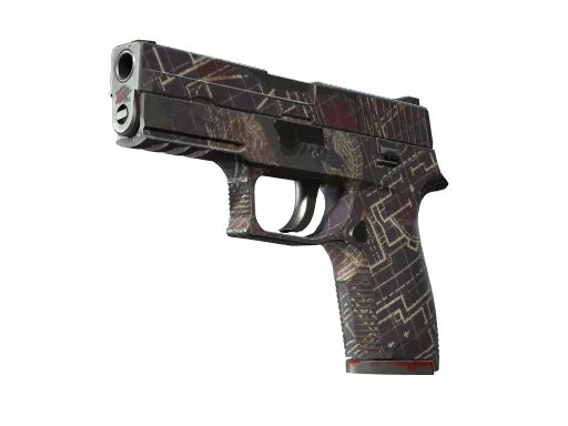 P250 | Facility Draft (Field-Tested)