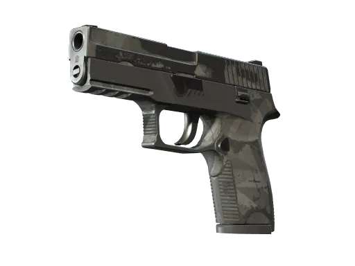P250 | Facets (Well-Worn)