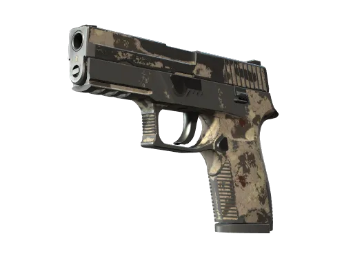 P250 | Black & Tan (Battle-Scarred)