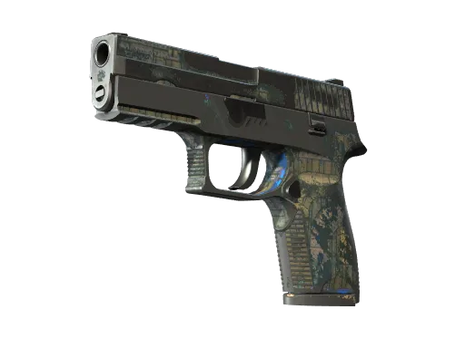 P250 | Exchanger (Well-Worn)
