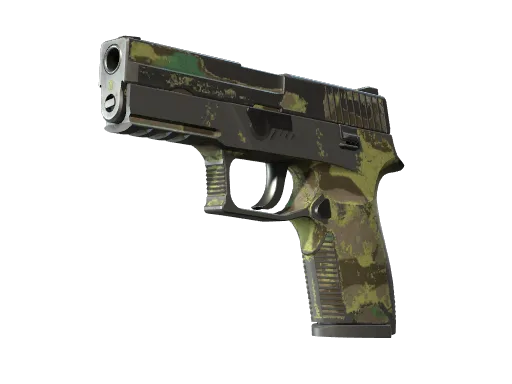 P250 | Boreal Forest (Well-Worn)