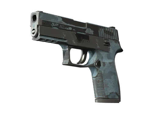 P250 | Forest Night (Well-Worn)