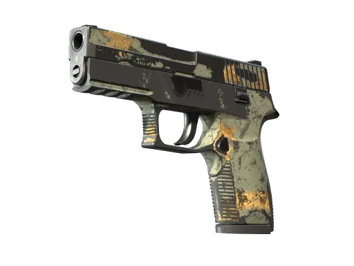 P250 | Modern Hunter (Well-Worn)