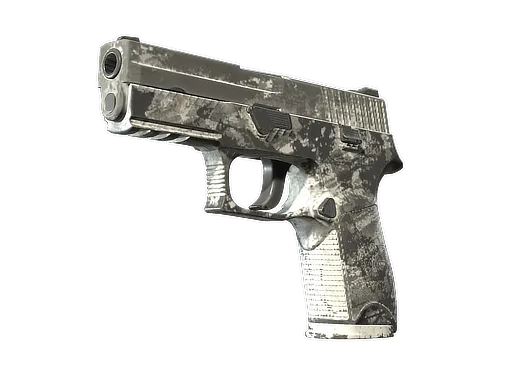 P250 | Sleet (Well-Worn)