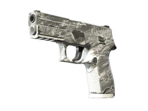 P250 | Sleet (Field-Tested)