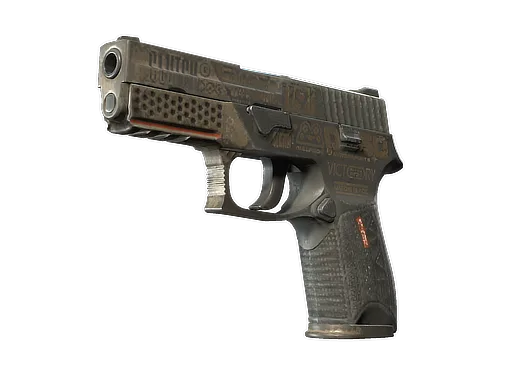 P250 | Bullfrog (Well-Worn)