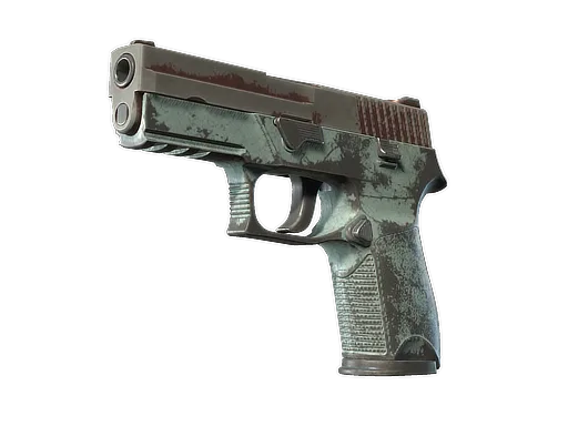 P250 | Copper Oxide (Well-Worn)