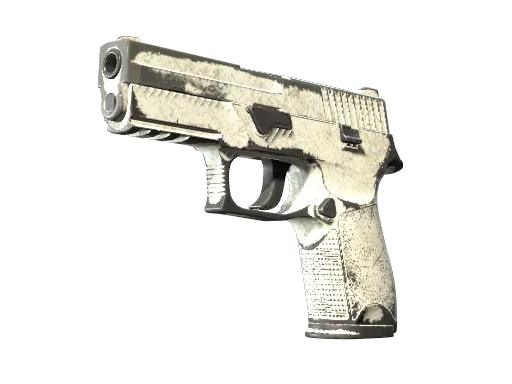 P250 | Whiteout (Well-Worn)