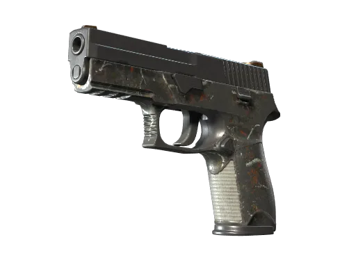 P250 | Small Game (Well-Worn)