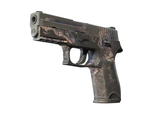 P250 | Drought (Well-Worn)
