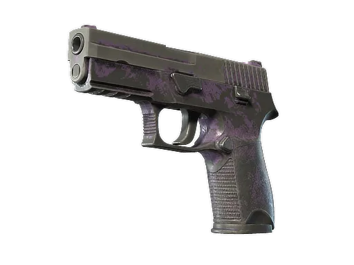 P250 | Plum Netting (Well-Worn)