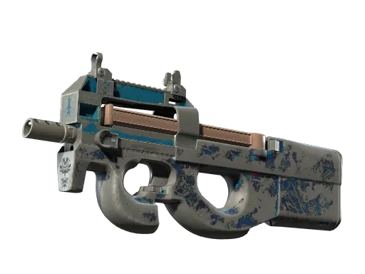 P90 | Blind Spot (Well-Worn)