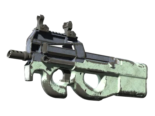 P90 | Storm (Well-Worn)