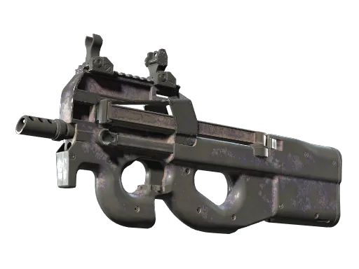 P90 | Wash me (Well-Worn)