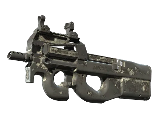 P90 | Ash Wood (Well-Worn)