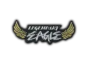 Patch | Metal Legendary Eagle